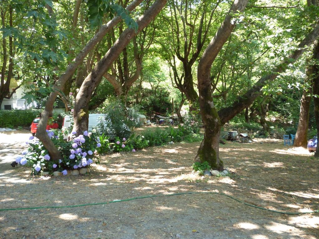 Galini Samothraki Hotel Therma  Bagian luar foto