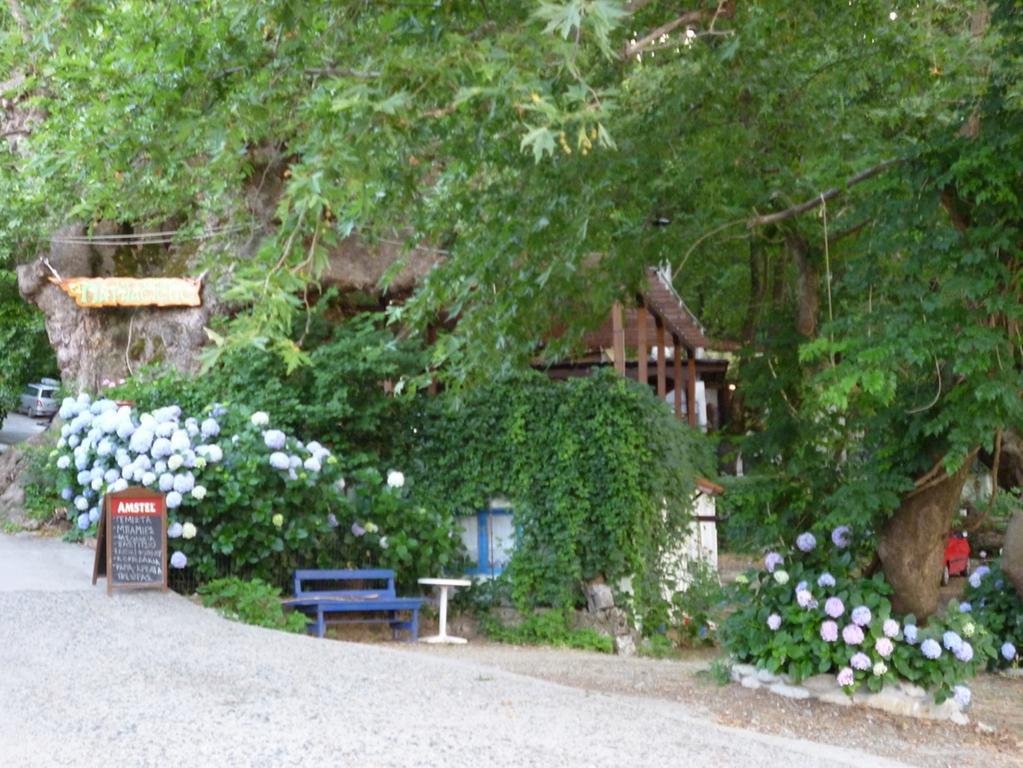 Galini Samothraki Hotel Therma  Bagian luar foto