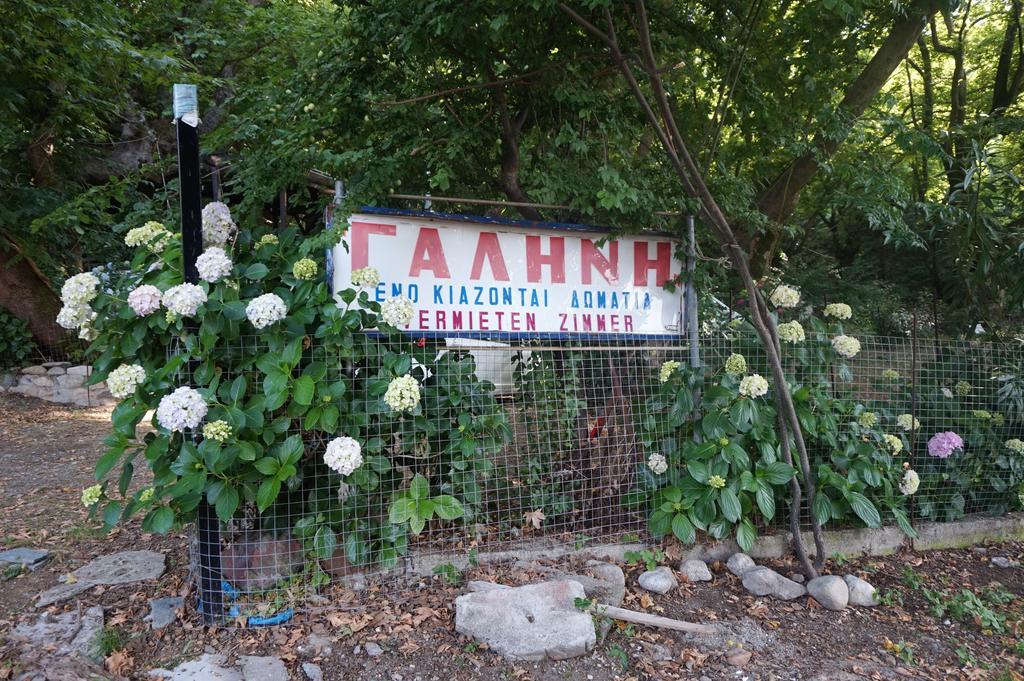 Galini Samothraki Hotel Therma  Bagian luar foto