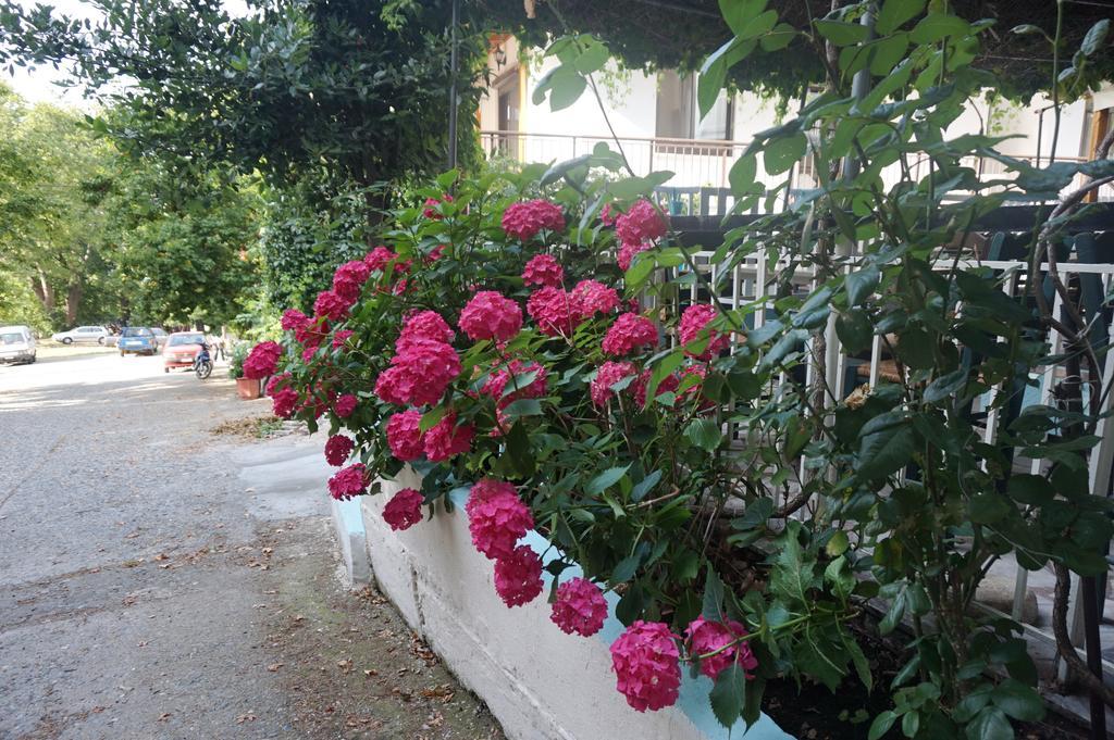 Galini Samothraki Hotel Therma  Bagian luar foto