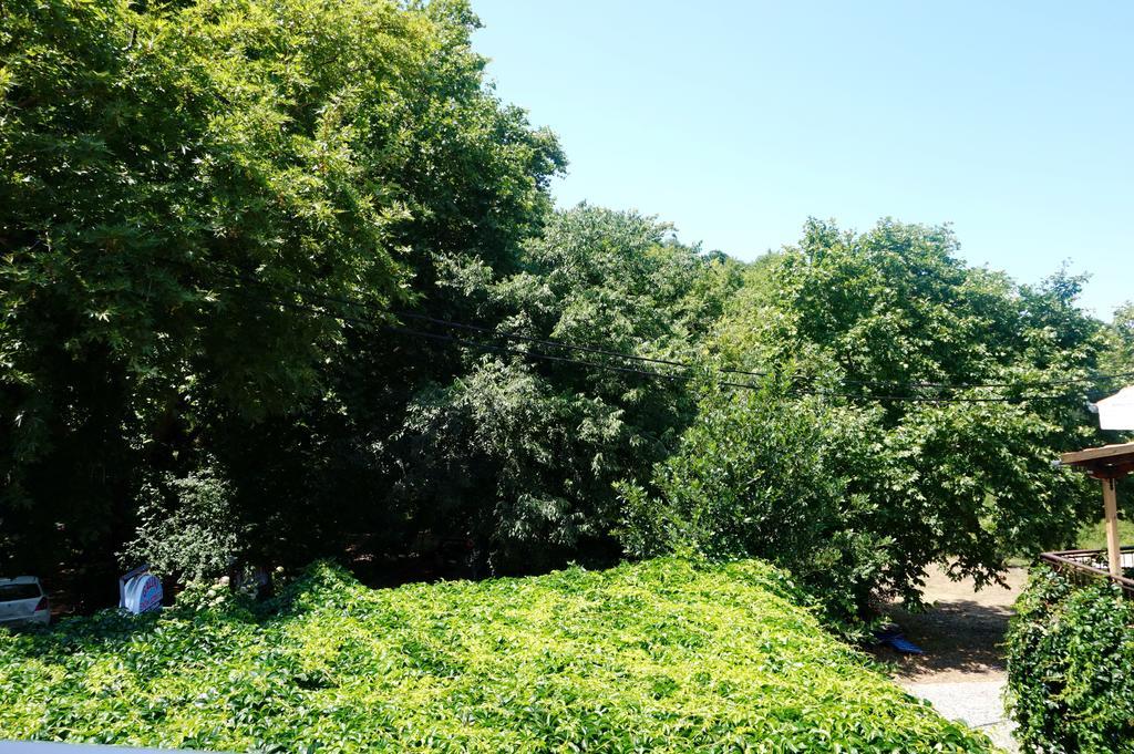 Galini Samothraki Hotel Therma  Bagian luar foto
